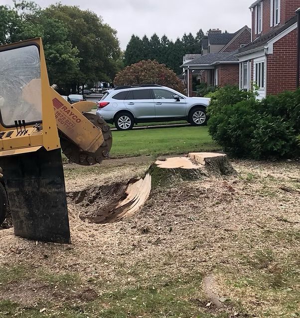 A stump grinder is working on a tree stump in front of a house.