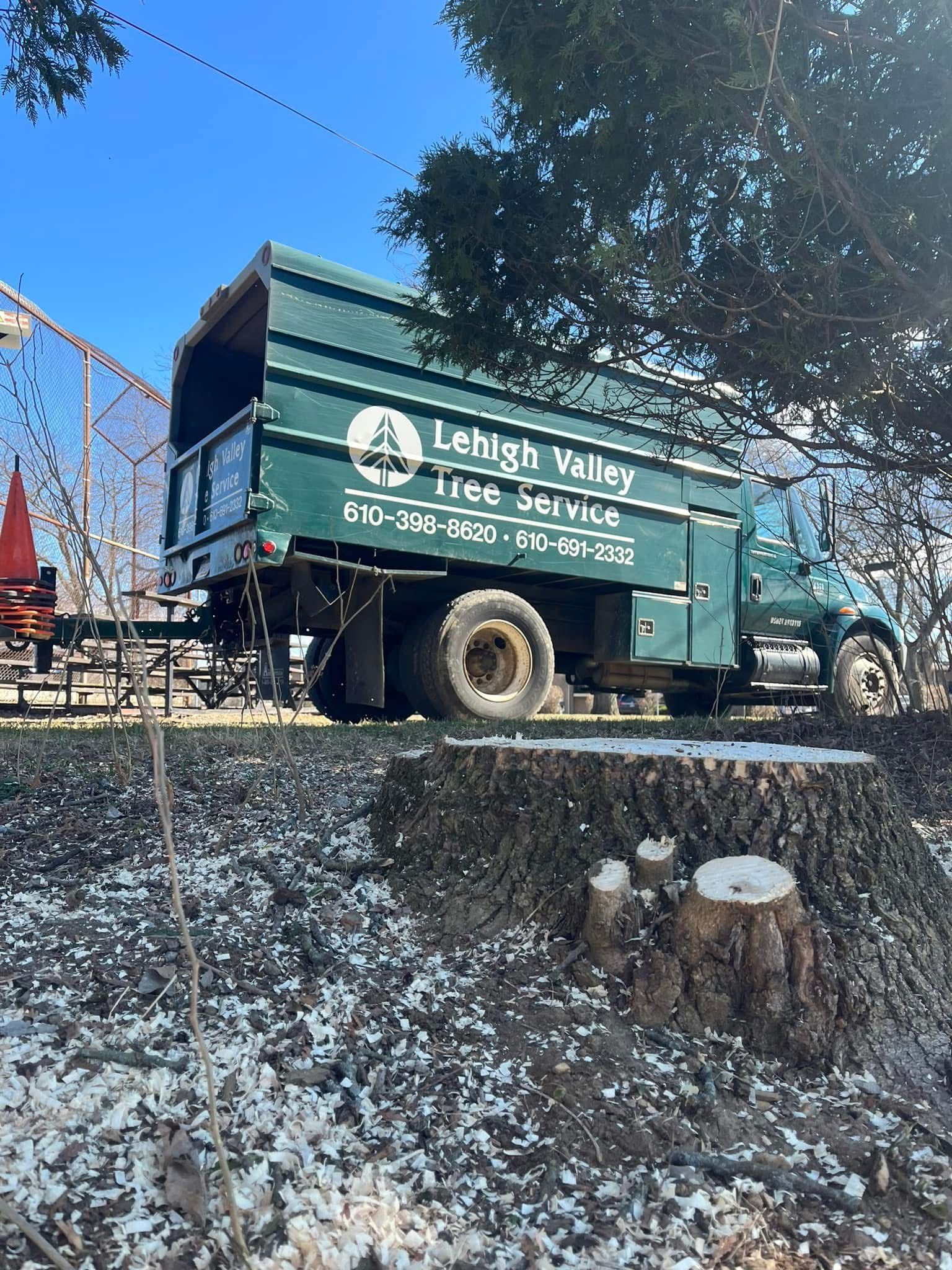A green truck is parked in a field next to a tree stump.