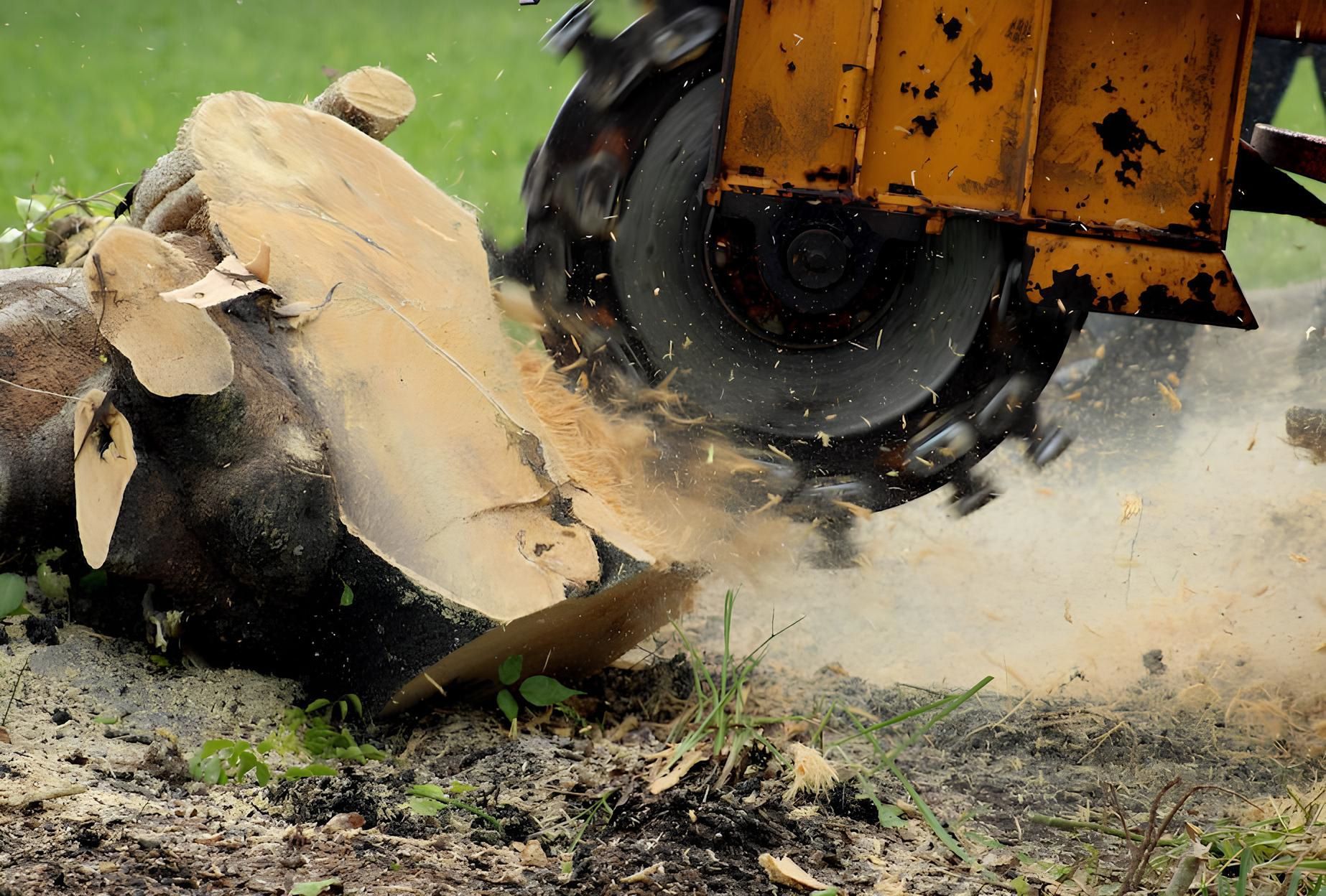 A tree stump is being removed by a machine.