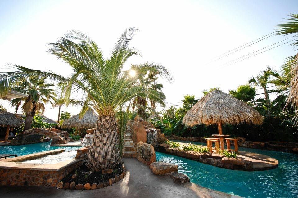 A large swimming pool surrounded by palm trees and thatched umbrellas