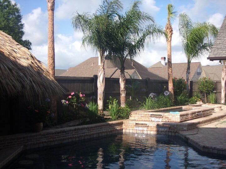 A swimming pool surrounded by palm trees in front of a house
