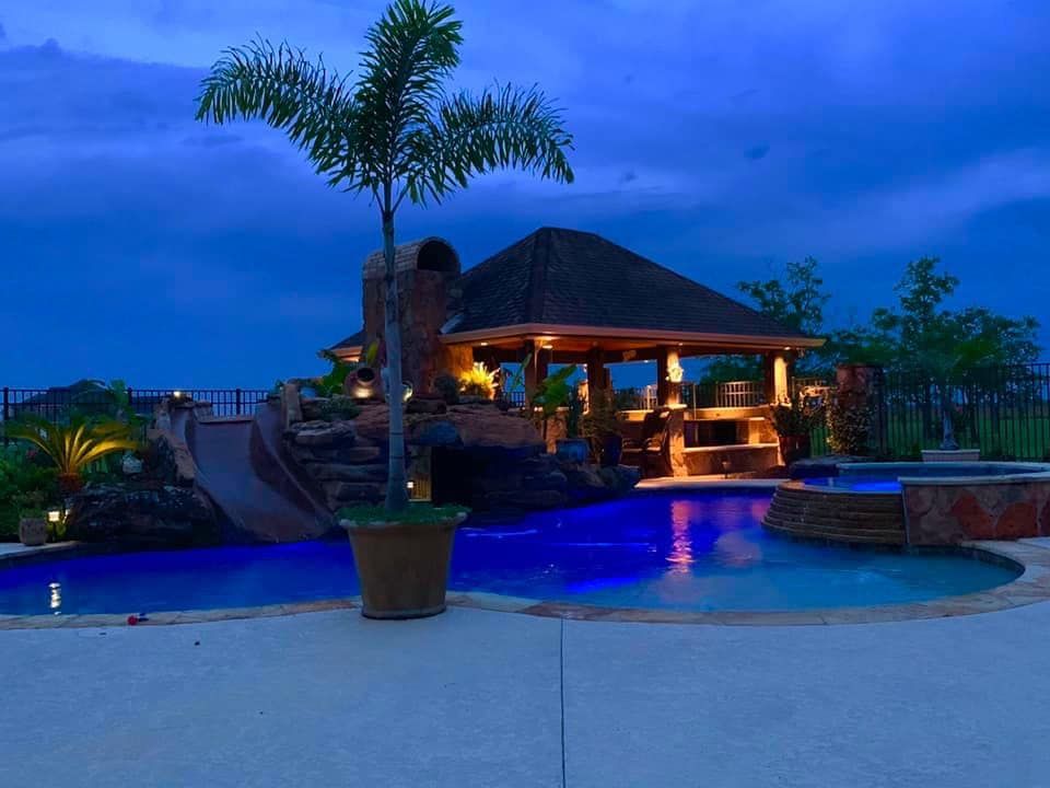 A large swimming pool with a palm tree in front of it