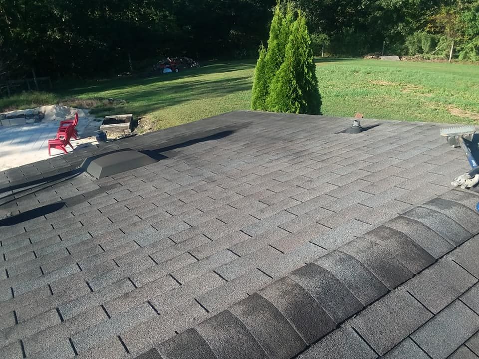 A roof with a pool in the background and a tree in the foreground