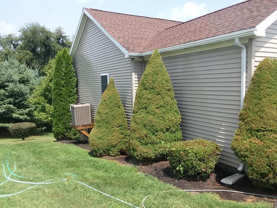 A house with a lot of bushes and trees in front of it
