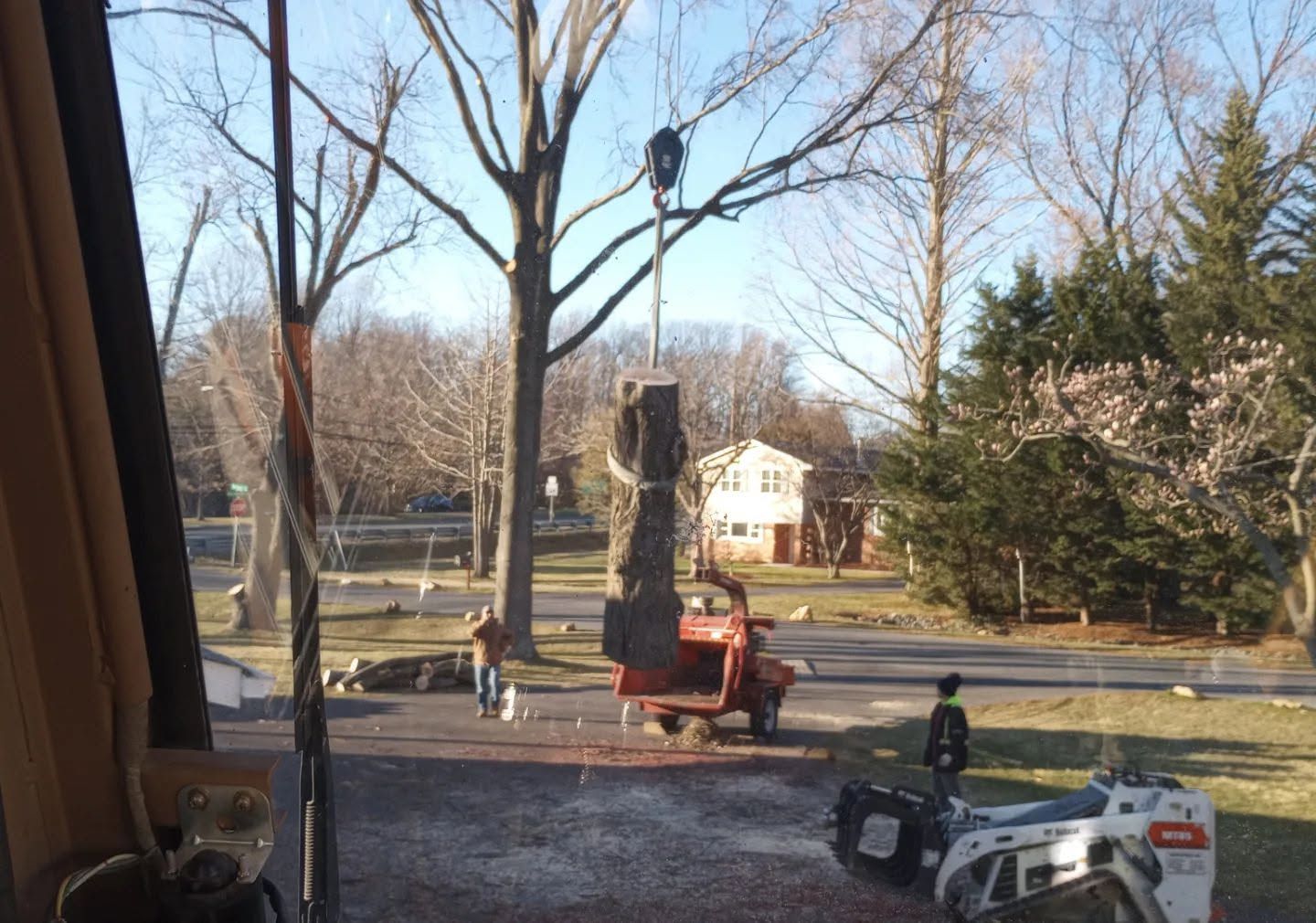 Backyard with leafless trees, a red wood chipper, and workers in winter sunlight