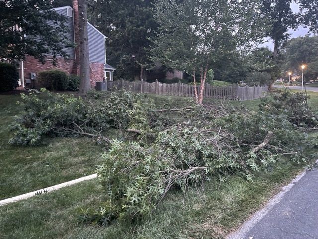 Large tree branches and debris scattered across a suburban street and roadside at dusk