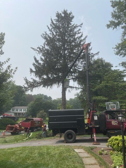Tree work crew with crane and chipper in a residential yard under a tall pine tree