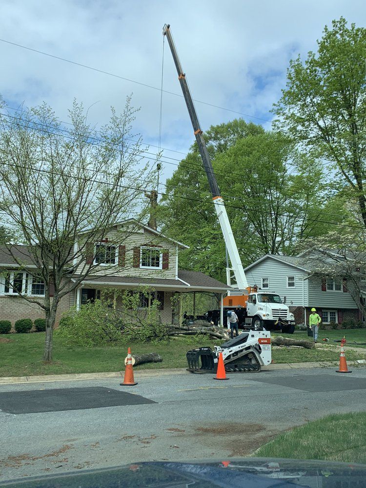 Utility truck with raised crane on a suburban street, surrounded by orange cones near houses.