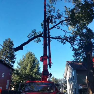 Tree being cut by a crane over a red car in a residential street