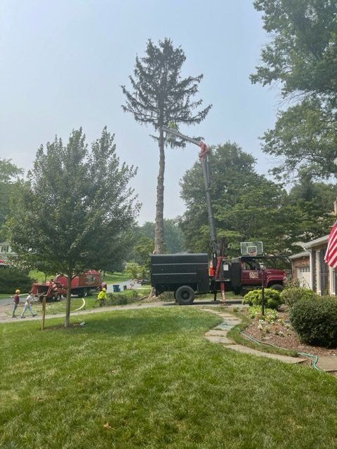 Tree being cut down in a suburban yard by a crane and truck crew