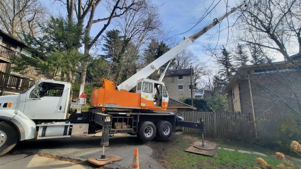 White utility truck with orange boom crane parked in a yard beside a house and trees