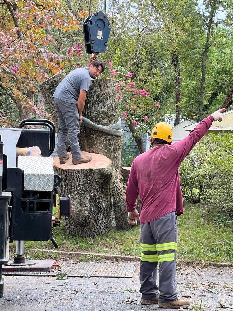 Tree removal workers guiding a man standing on a cut tree stump as a crane lifts debris outdoors