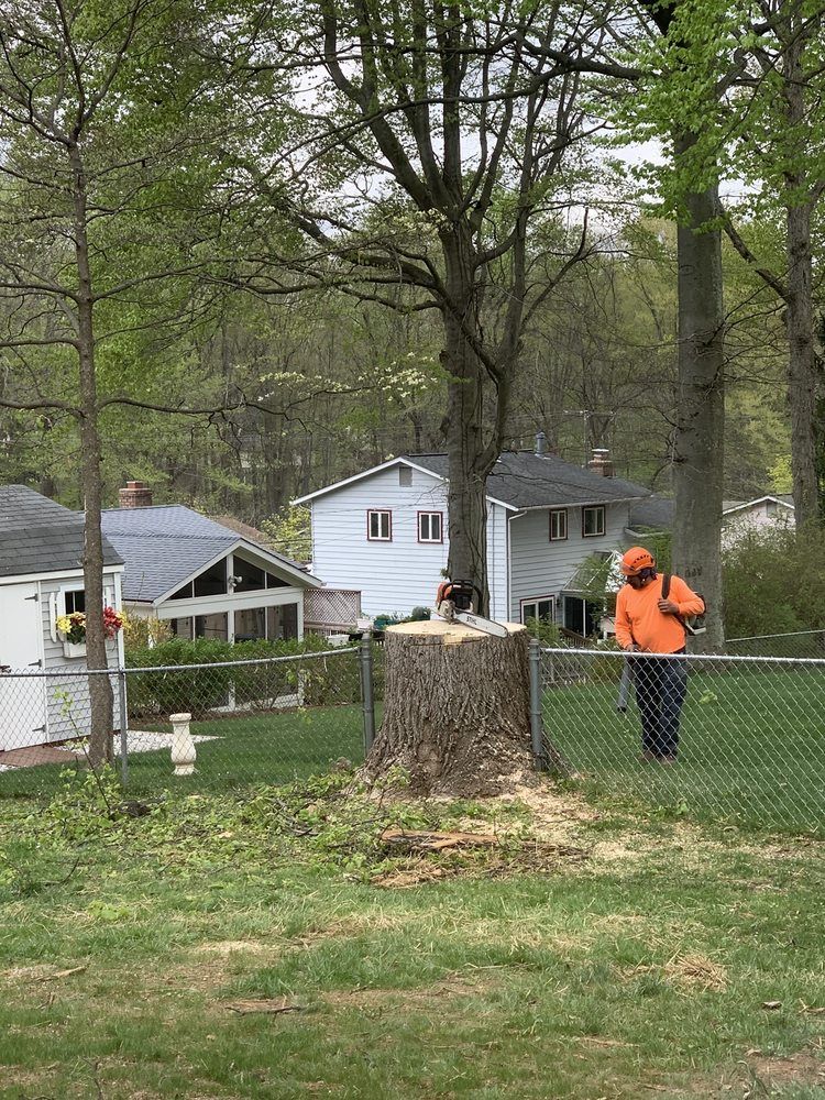 Worker in orange safety gear stands near a large tree stump in a fenced yard with houses in the background