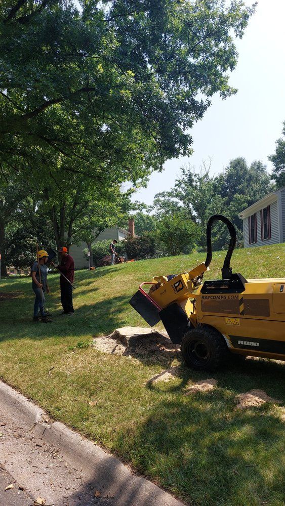 Yellow backhoe parked on grassy roadside with workers under trees beside a building.