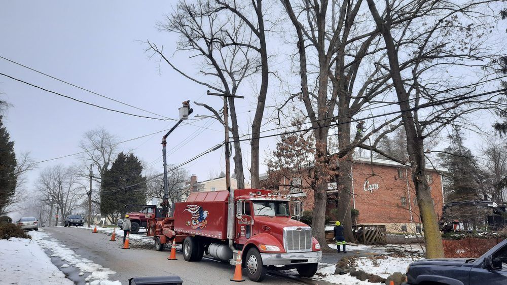 Red utility trucks lined up on a snowy residential street with leafless trees and brick houses