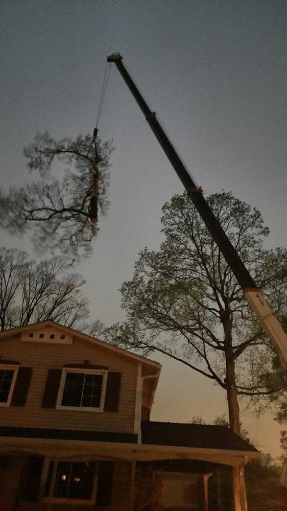 Crane lifting a large tree limb above a house at dusk.