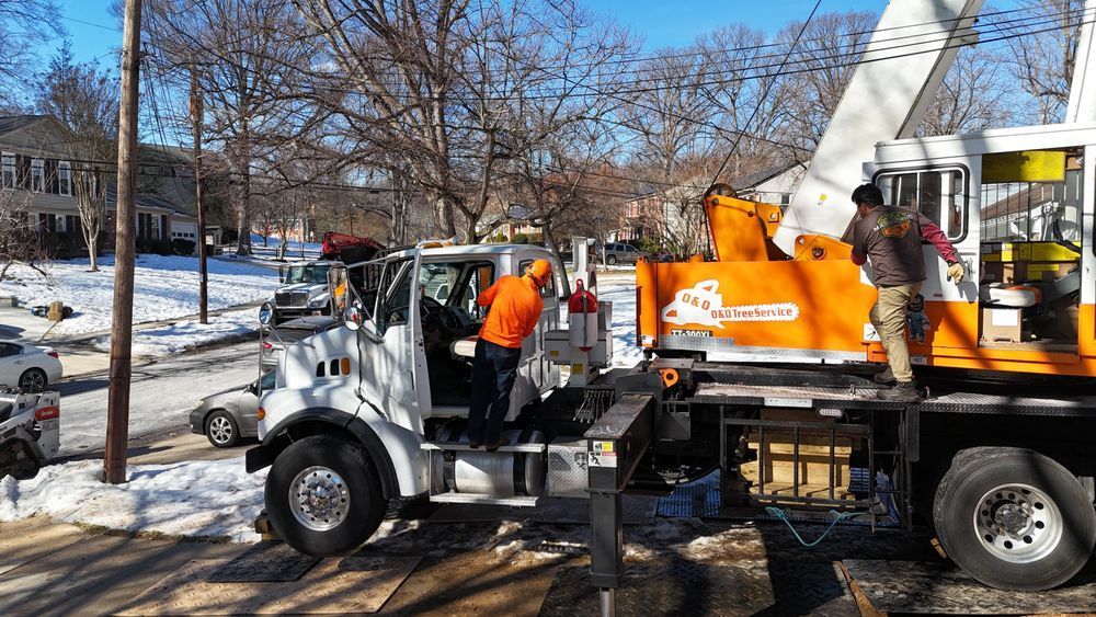 Utility truck with orange equipment lifting tree branches in a snowy roadside cleanup scene