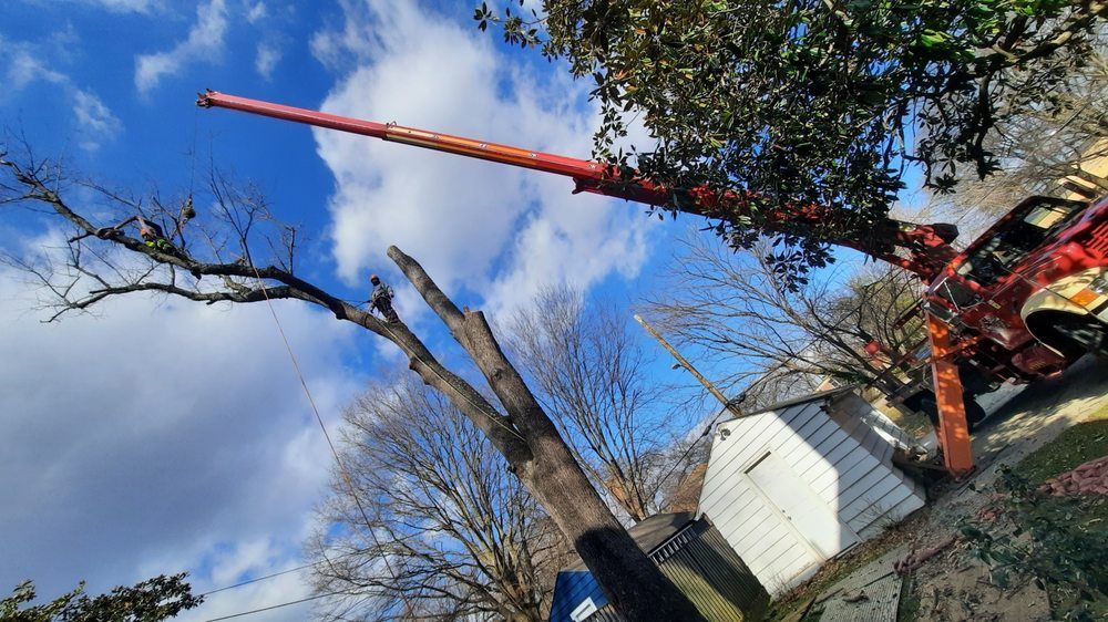 Red cherry picker arm beside a leafless tree and white shed under a blue, cloudy sky