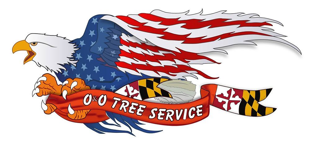 O&O Tree Service