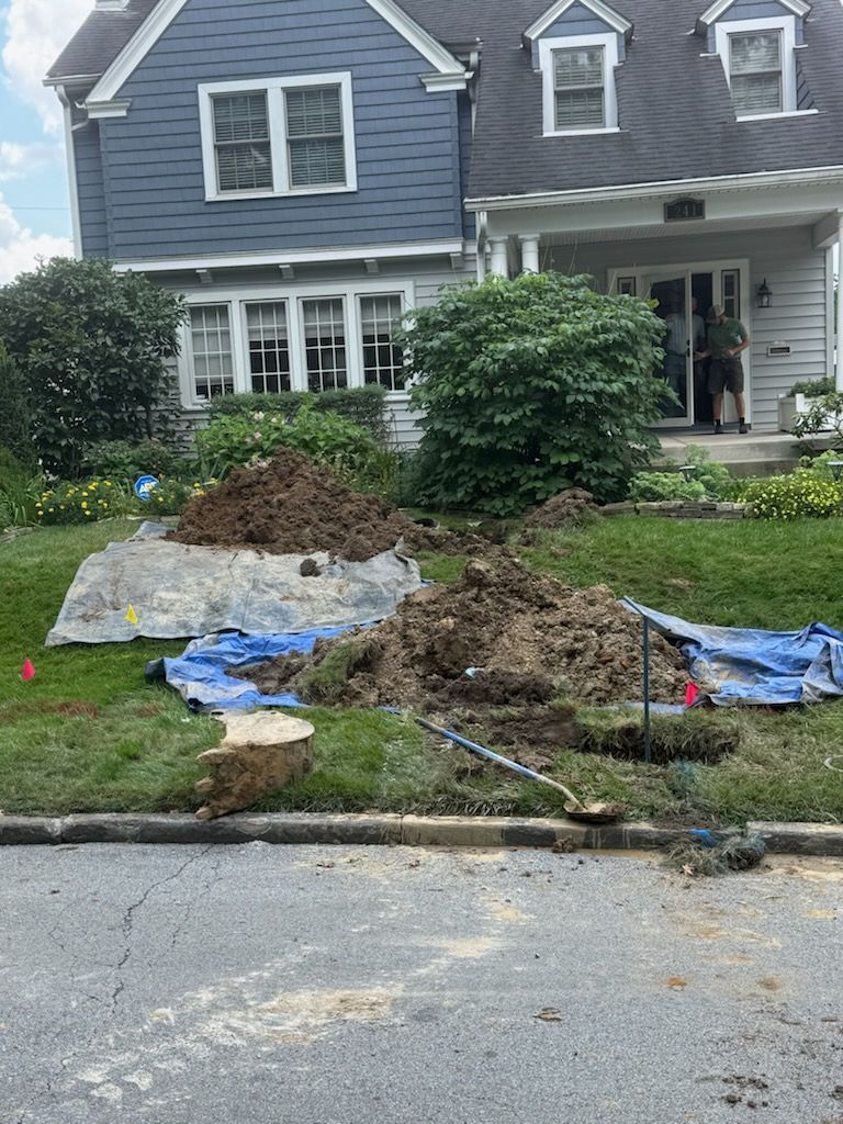 Piles of dirt on a lawn in front of a blue and white house; a person stands in the doorway.