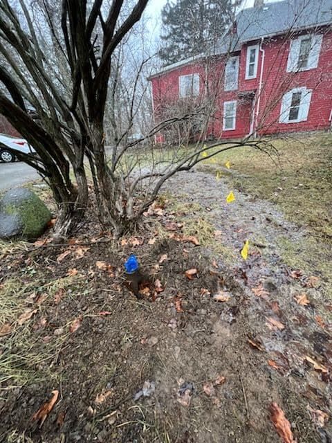 Muddy ground near bare bushes and a red brick house; utility flags mark a path.