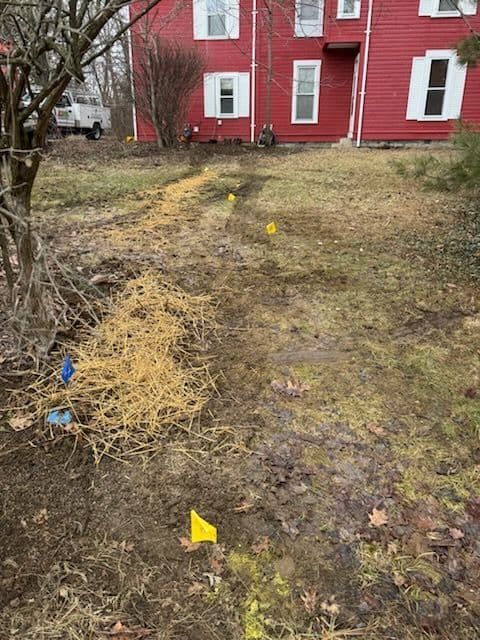 Muddy yard with yellow flags in a line leading to a red house, debris pile in the foreground.
