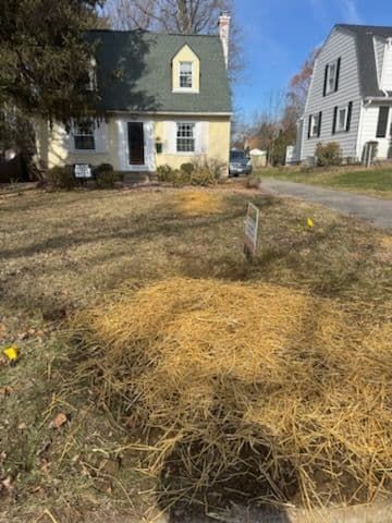 Yellow grass in front yard, two-story yellow house with green roof in the background.
