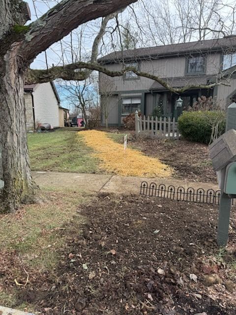 A house with a yellow-strewn path, front yard, and a brown tree on a cloudy day.