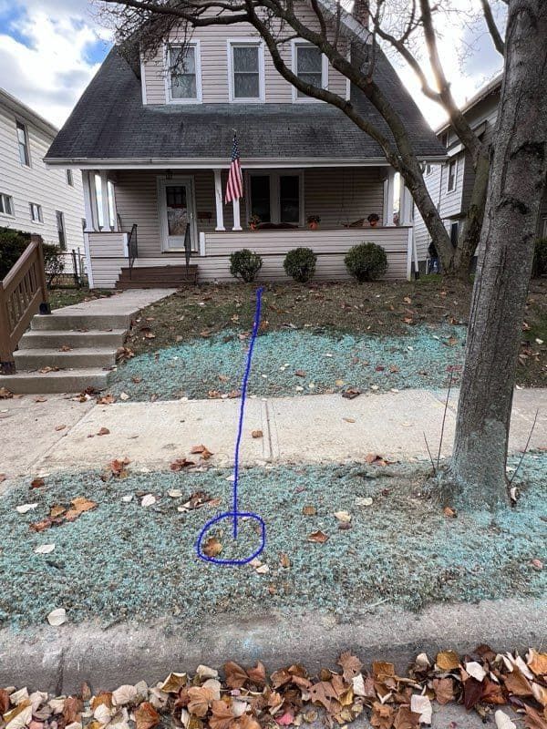 House with porch and American flag, new seeded lawn, a tree trunk, and a sidewalk on a sunny day.