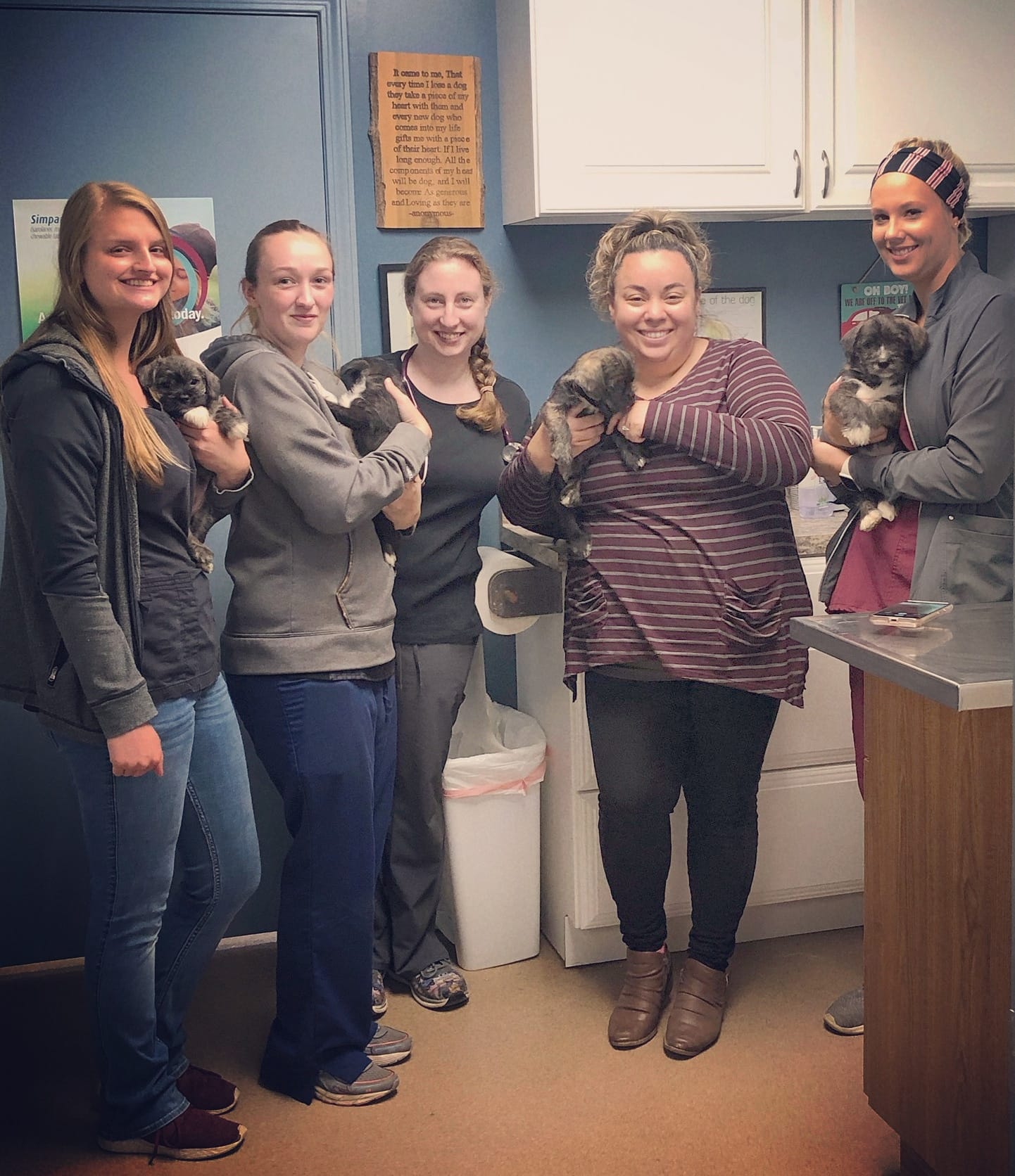 Group of people carrying puppies