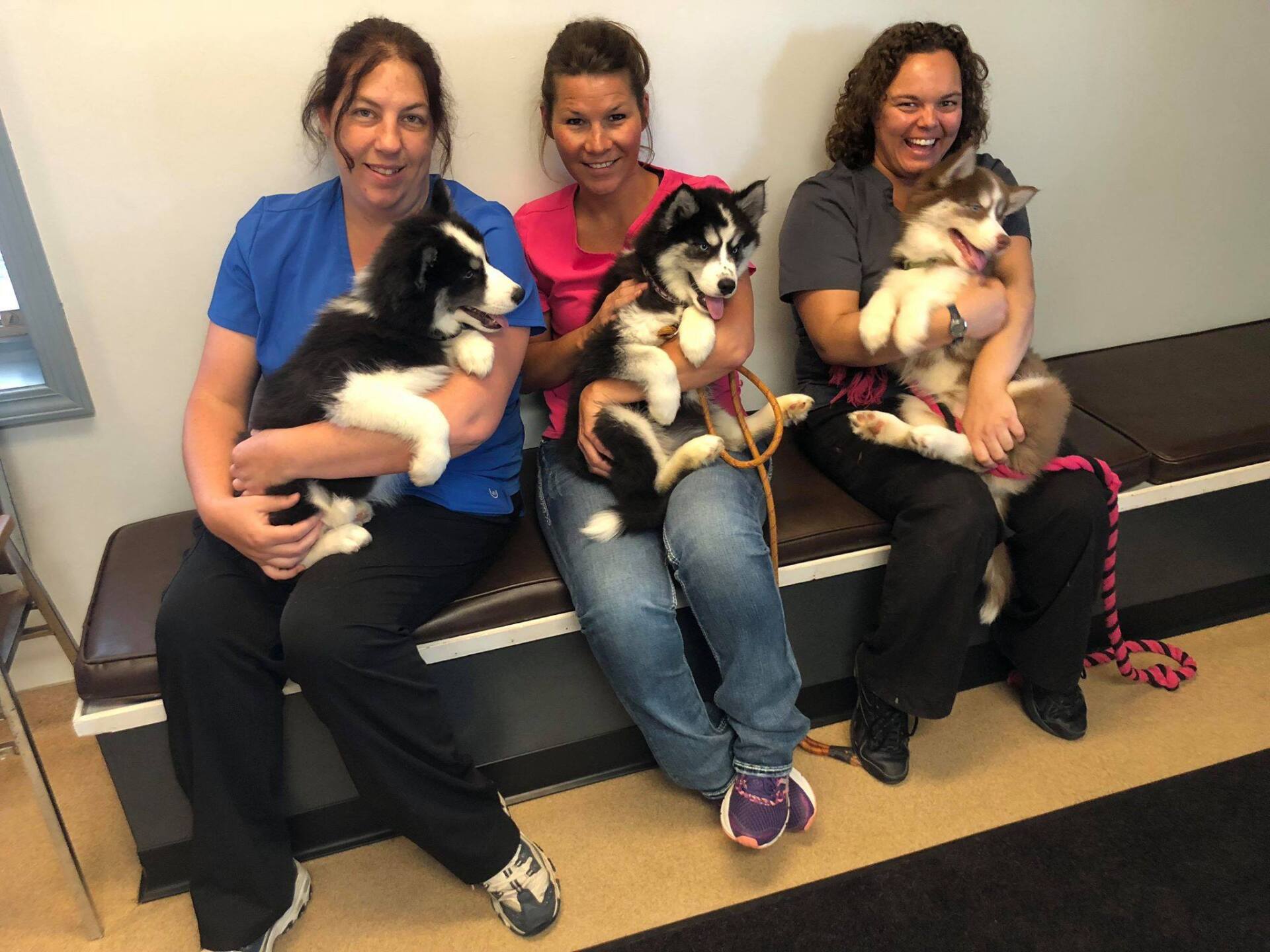 Women carrying puppies