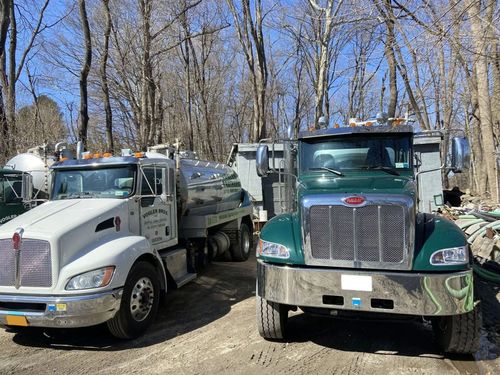 Two parked dump trucks, one white and one green, in a wooded area with bare trees