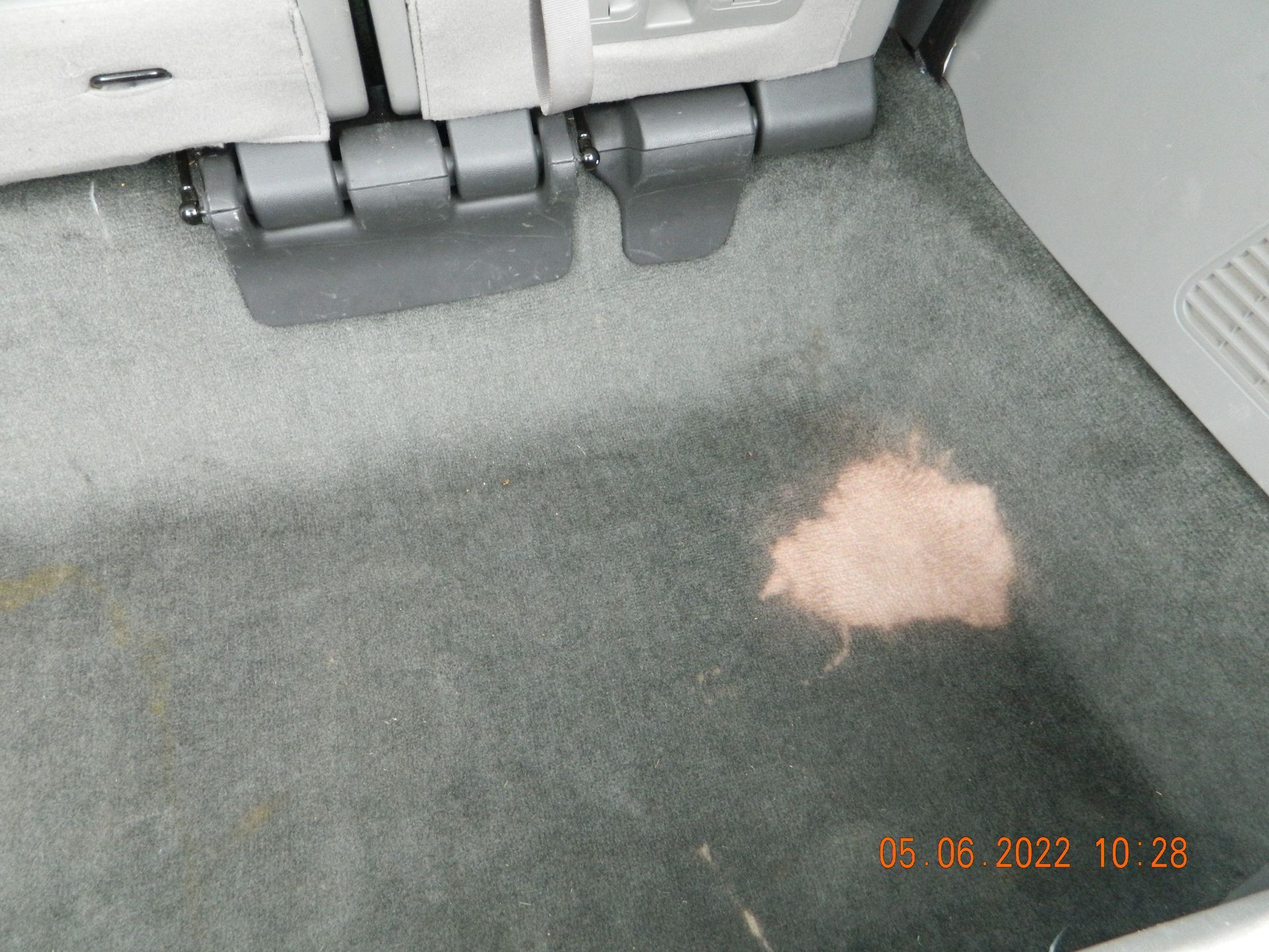 Carpet Dye Service #1