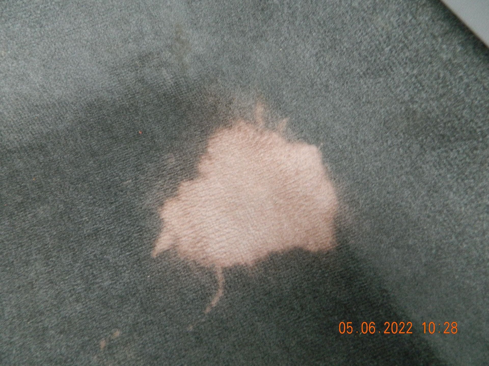 Carpet Dye Service #2