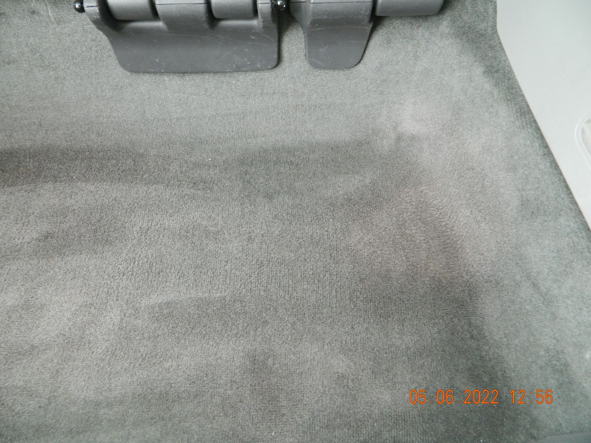 Carpet Dye Service #3