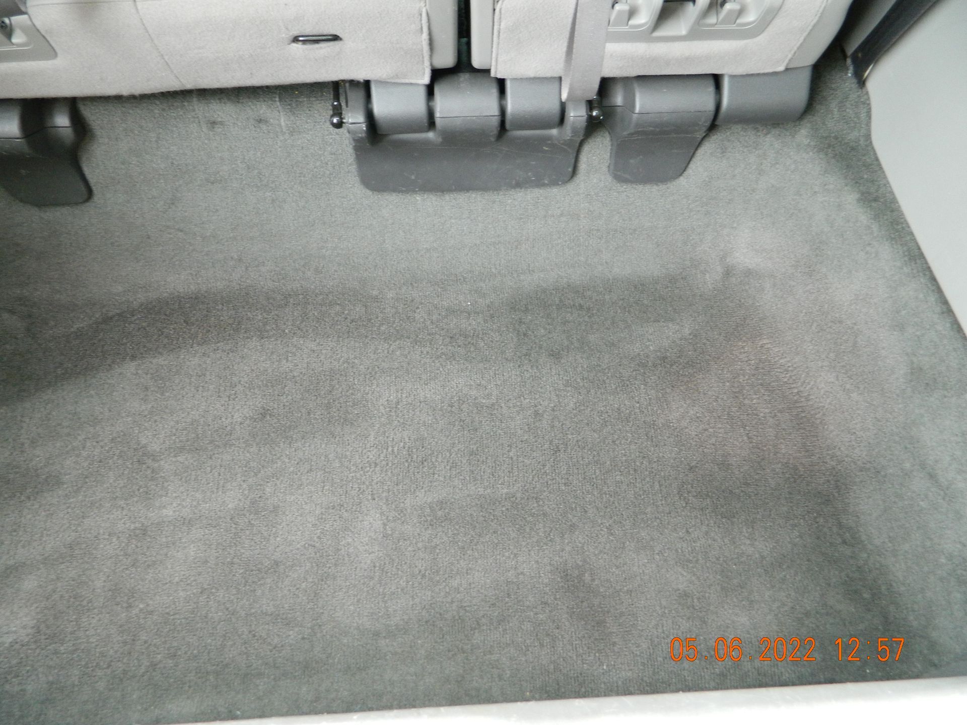 Carpet Dye Service #4