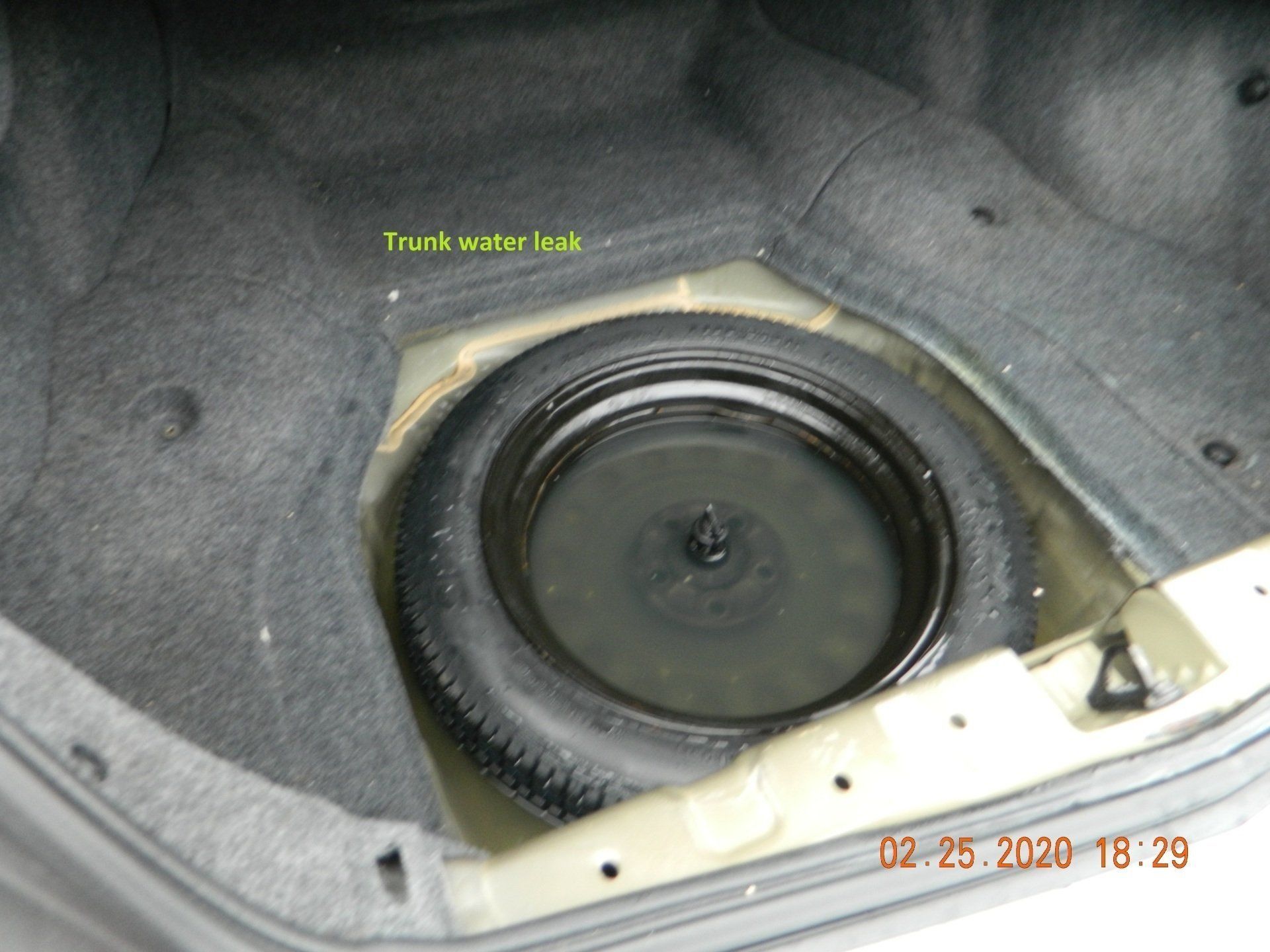 Trunk water leak