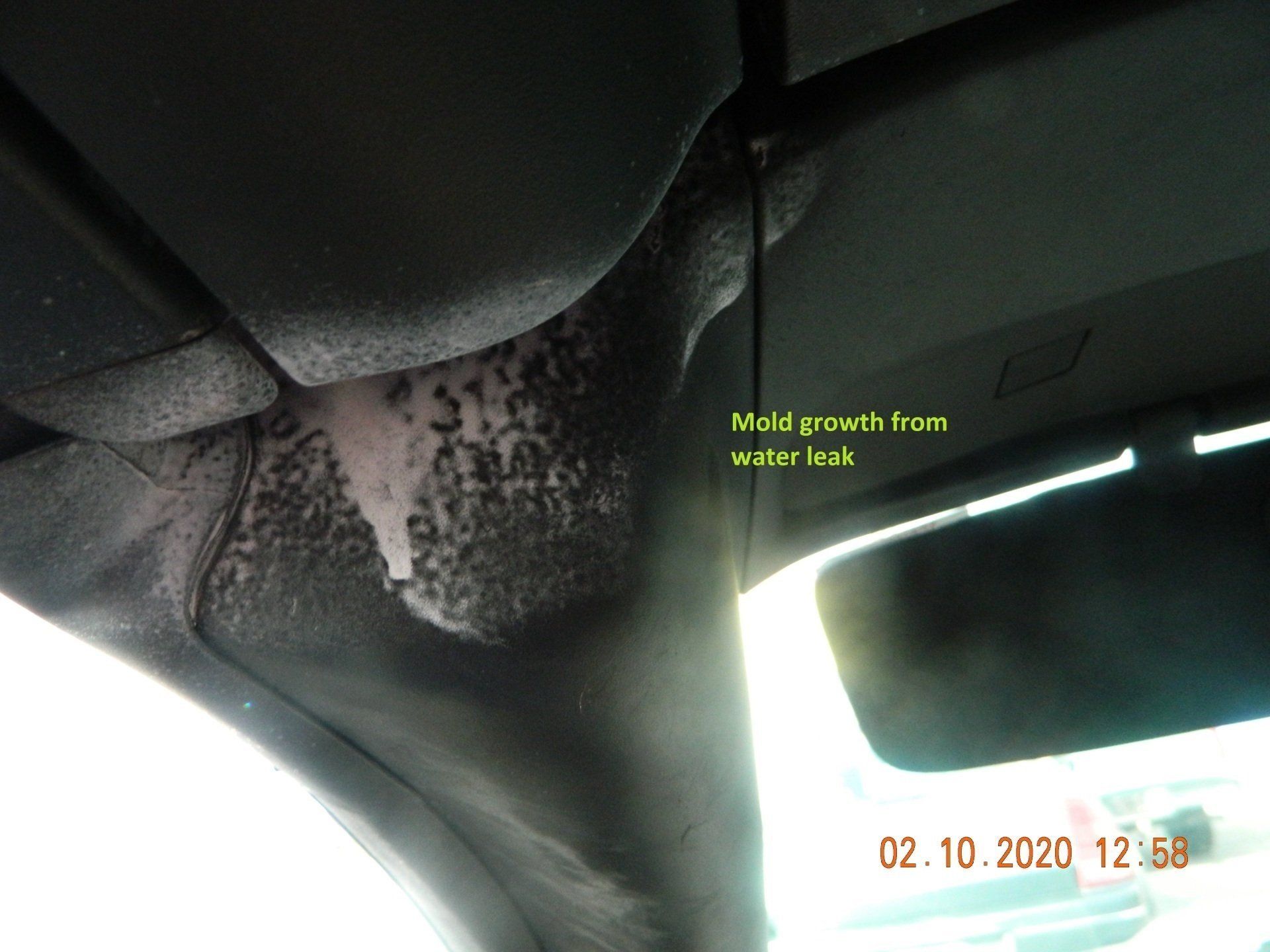 Mold growth from water leak