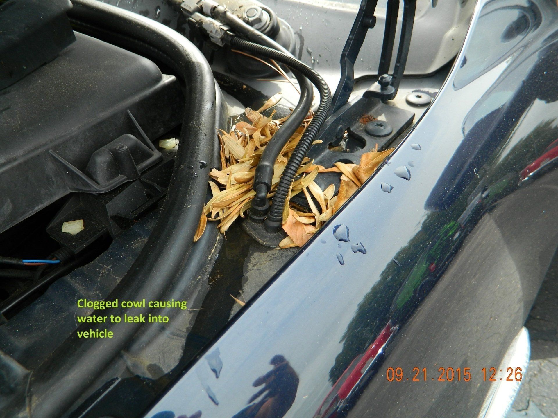 Clogged cowl causing water leak into vehicle