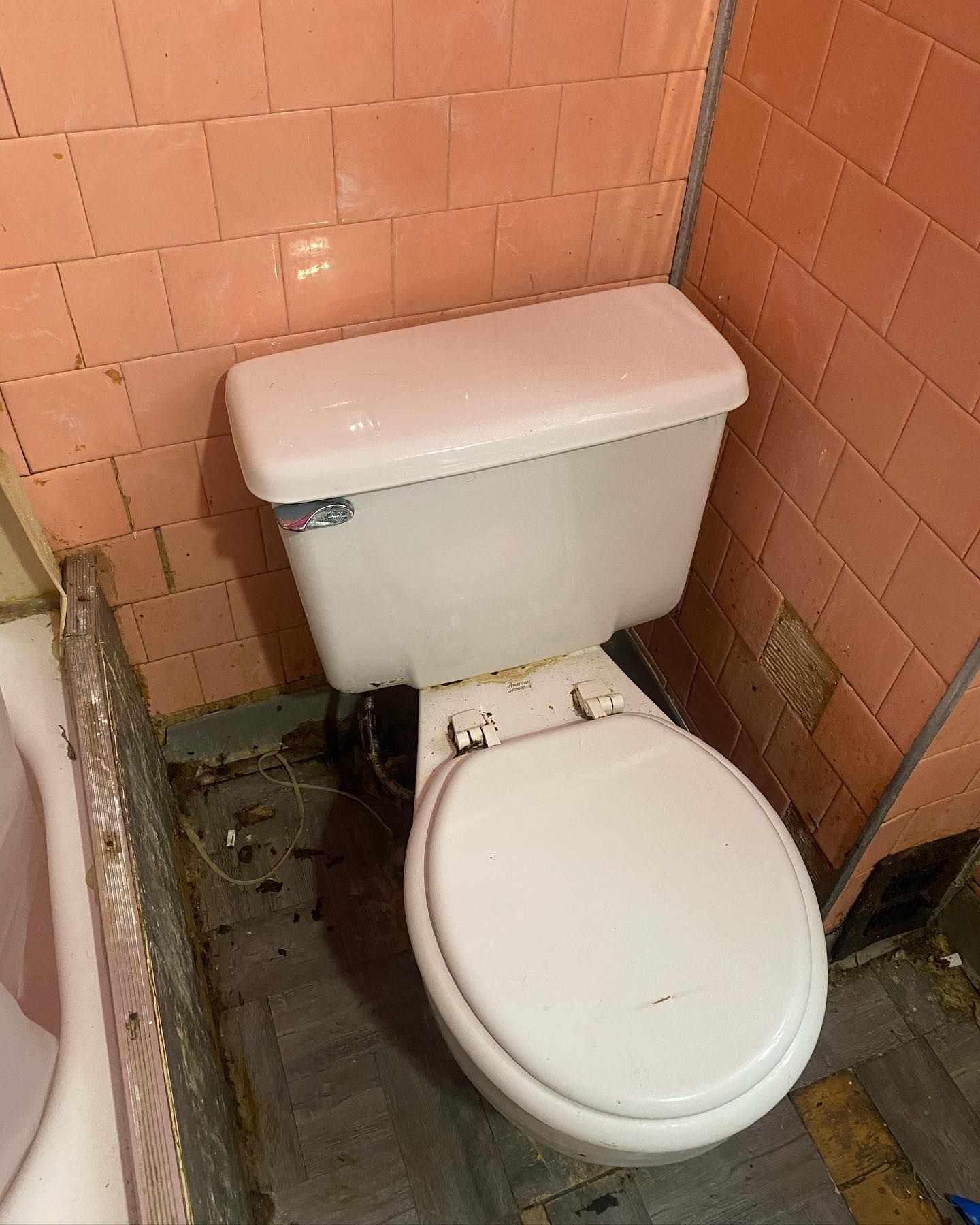 Toilet in a bathroom with pink tile. The floor is damaged, and the toilet seat is down.
