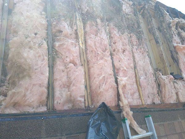 exposed insulation