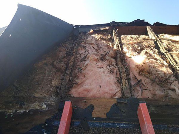 damaged insulation