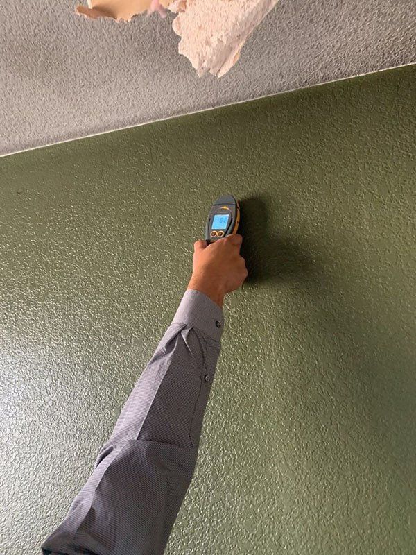 mold checking