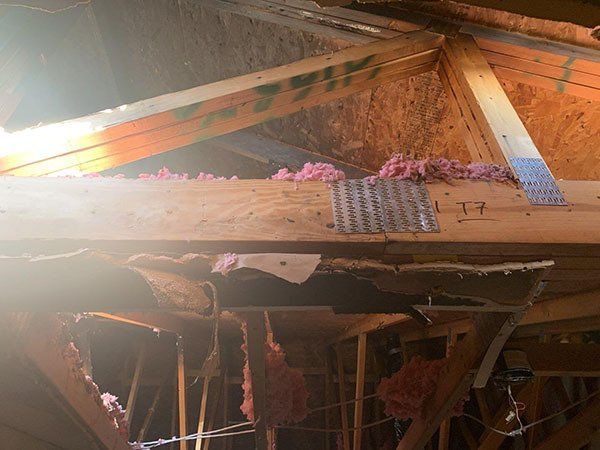 Ceiling on renovation