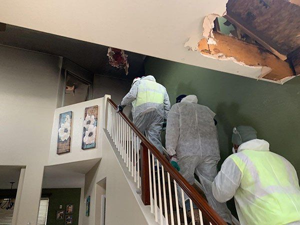 Mold Remediation Workers