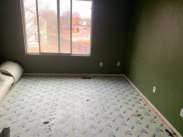 removed carpet