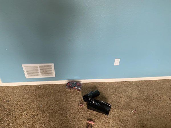 blue wall and carpet