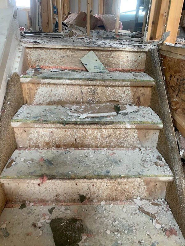 molds on stairs