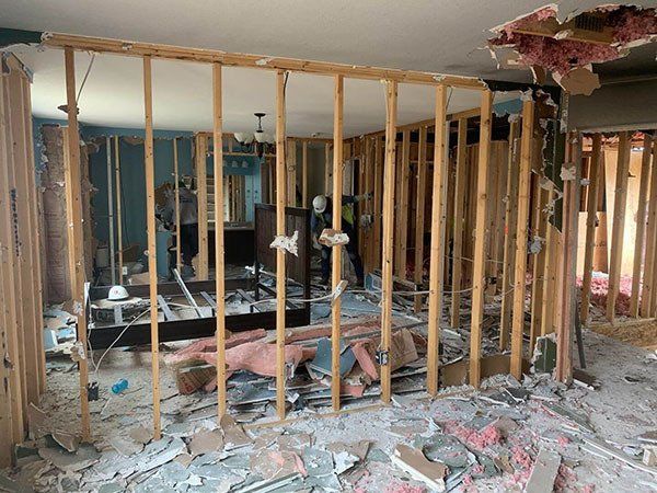 Damages walls from mold