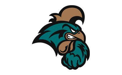 A rooster with a long beard is a mascot for a sports team.